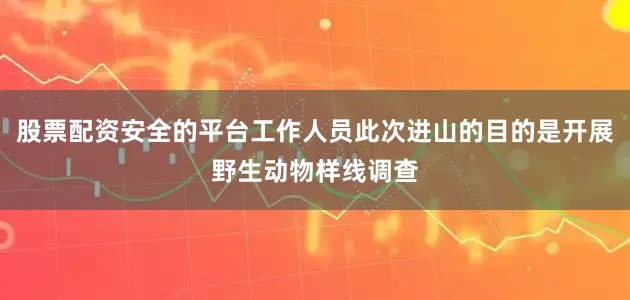 股票配资安全的平台工作人员此次进山的目的是开展野生动物样线调查