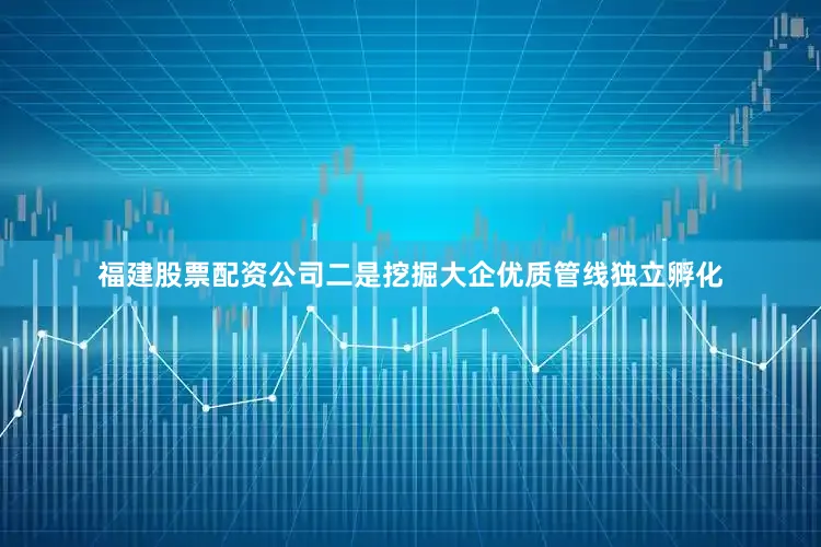 福建股票配资公司二是挖掘大企优质管线独立孵化